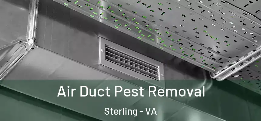 Air Duct Pest Removal Sterling - VA