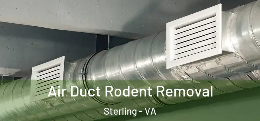 Air Duct Rodent Removal Sterling - VA