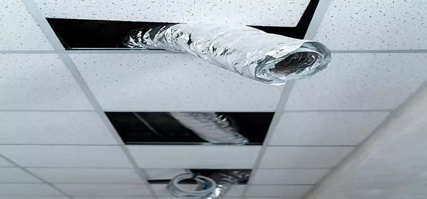 Our Air Duct Pet Hair Removal Services in Sterling, VA