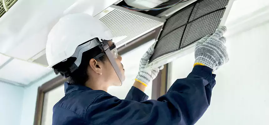 Our Mold & Mildew Removal from Air Ducts Services in Sterling, VA