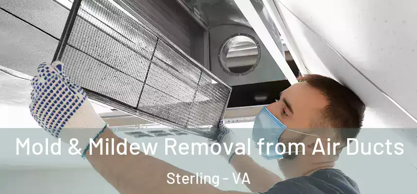Mold & Mildew Removal from Air Ducts Sterling - VA