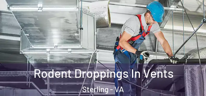 Rodent Droppings In Vents Sterling - VA