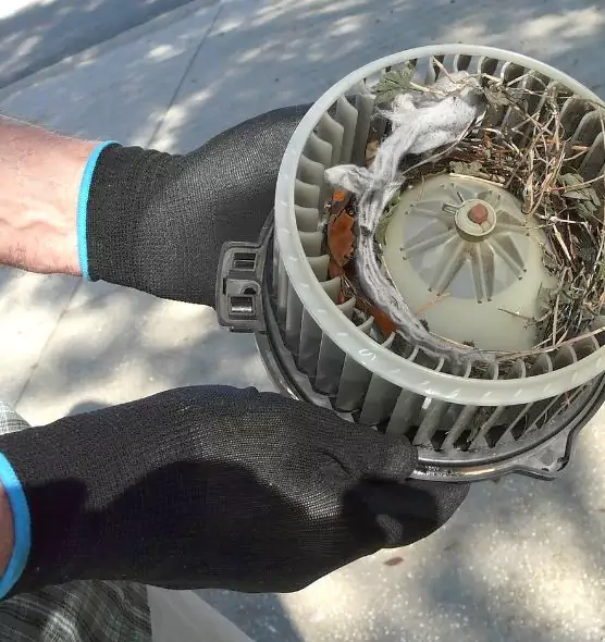 About Air Duct Rat Removal in Sterling, VA