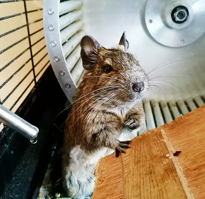 Why Homeowners & Businesses Trust Us Sterling, VA