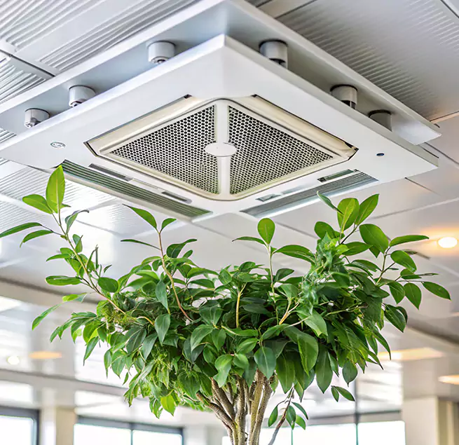 Why Homeowners & Businesses Trust Us in Sterling, VA?