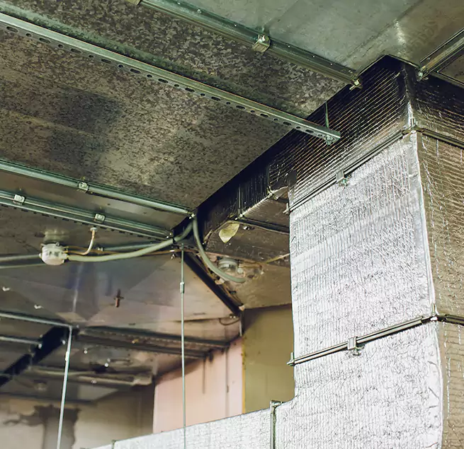 Why Homeowners & Businesses Trust Us in Sterling, VA?